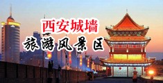 黑人群交中国陕西-西安城墙旅游风景区